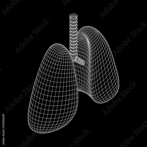 Lungs with trachea bronchi internal organ human. Pulmonology medicine science technology concept. Wireframe low poly mesh vector illustration