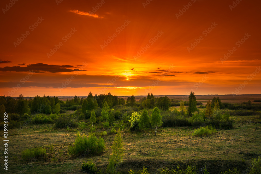 sunset over green field