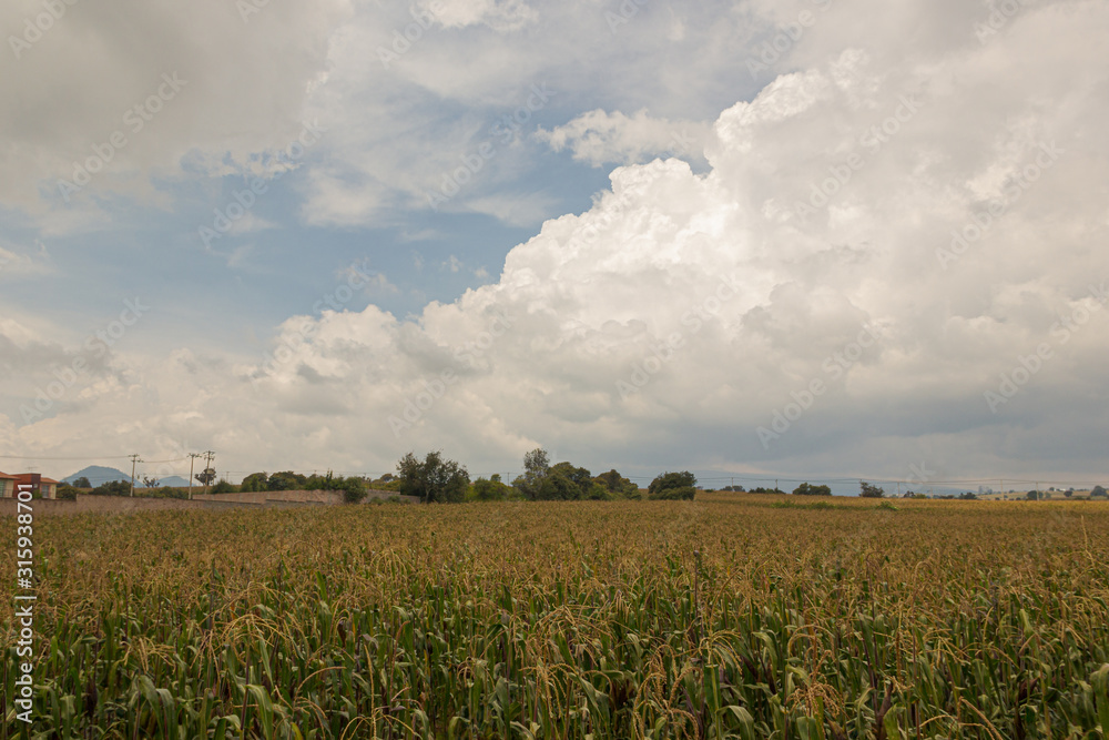 Paisaje con nubes calidas