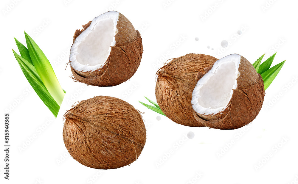 Fresh ripe coconut, coconut half piece with white flesh, palm leaves set closeup isolated on white. Tropical coconut fruits composition with focus stacking. Advertising label design clip art elements Fresh ripe coconut, coconut half piece with white flesh, palm leaves set closeup isolated on white. Tropical coconut fruits composition with focus stacking. Advertising label design clip art elements