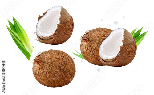 Fresh ripe coconut, coconut half piece with white flesh, palm leaves set closeup isolated on white. Tropical coconut fruits composition with focus stacking. Advertising label design clip art elements