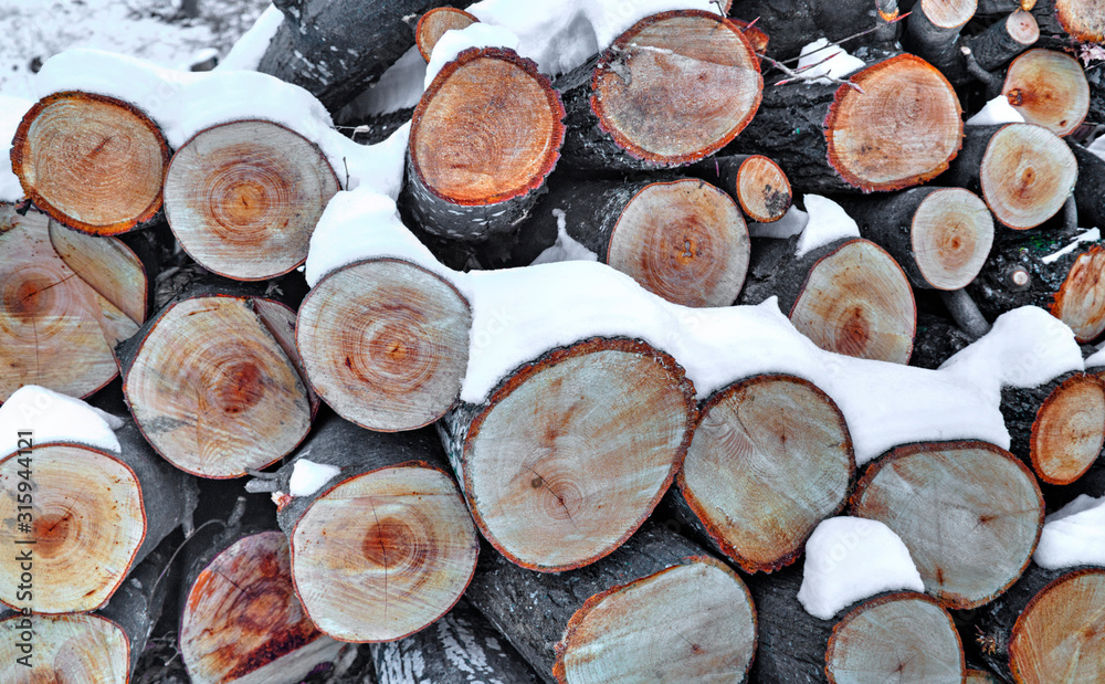 A background of fresh cut timber in the winter forest A background of fresh cut timber in the winter forest