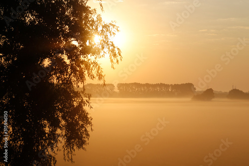 Moody sunrise in front of a forest