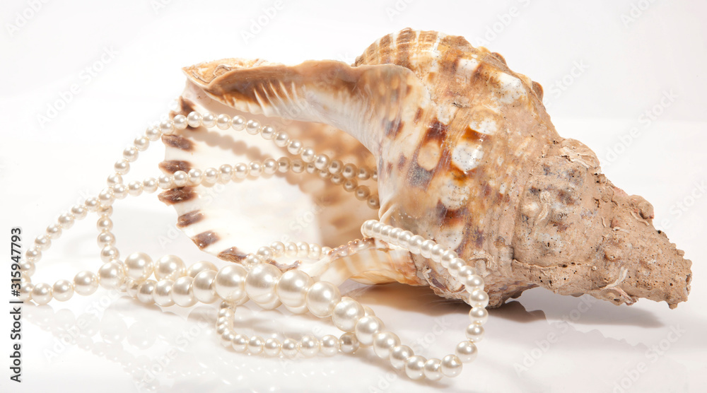 Muschel und Perle Stock Photo Adobe Stock