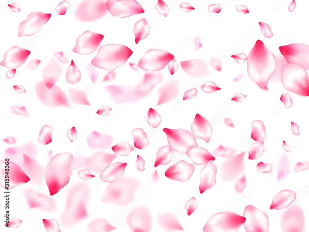Pink sakura petals confetti flying and falling Pink sakura petals confetti flying and falling