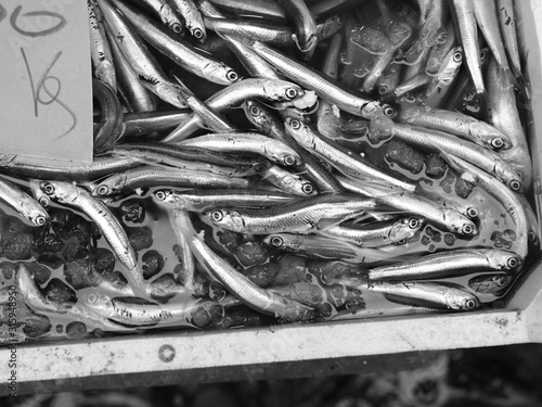 Fish at seamarket photo