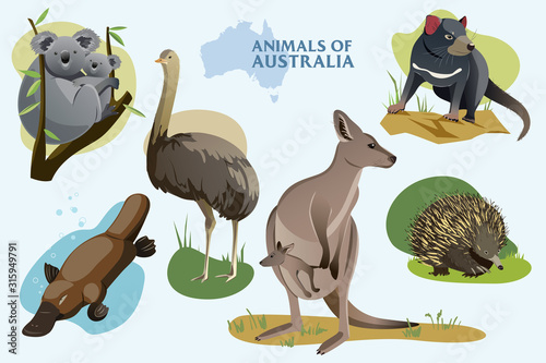 Vector illustration set of Australian wild animals