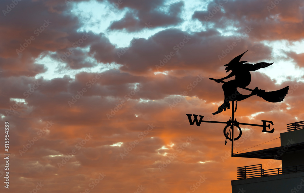 Weather vane is a home instrument showing direction of wind - typically used as an architectural ornament to the highest point of a building Weather vane is a home instrument showing direction of wind - typically used as an architectural ornament to the highest point of a building