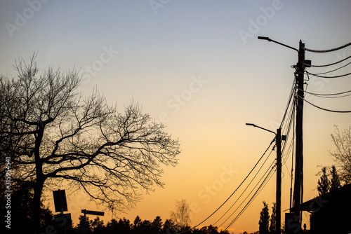 silhouette of telephonr wires at sunset, sweden, nacka, stockholm, sverige photo