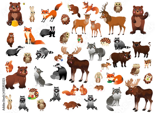 Fototapeta Naklejka Na Ścianę i Meble -  Big cartoon forest animals vector set for children. Mega collection of animals in different postures for kids. Isolated on white background
