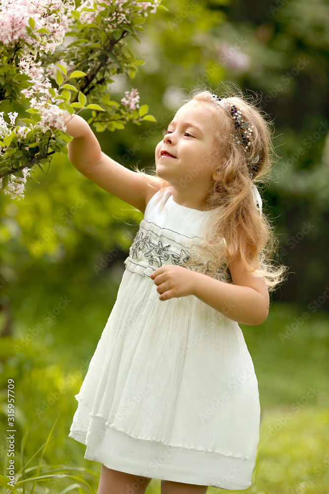 little girl in a white dress walks in the spring botanical garden where lilac blossoms little girl in a white dress walks in the spring botanical garden where lilac blossoms