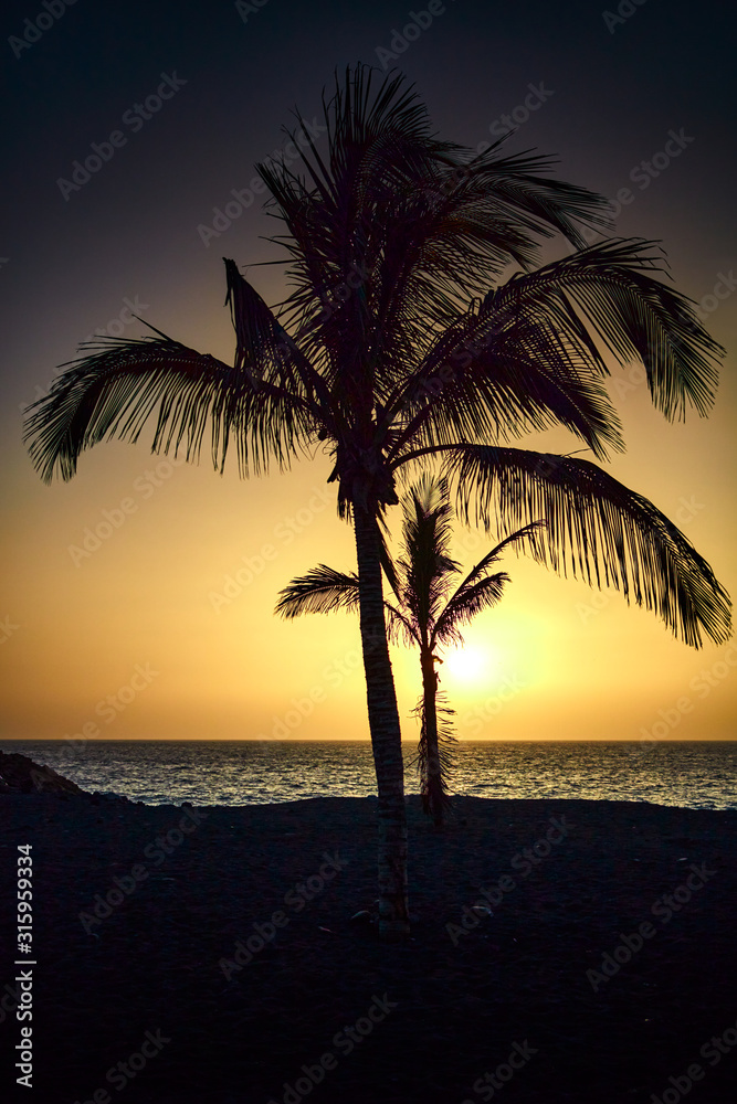 Atardecer entre palmeras en la playa de Puerto Naos en la Isla de La Palma