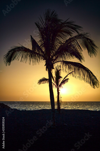 Atardecer entre palmeras en la playa de Puerto Naos en la Isla de La Palma