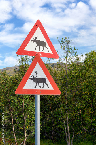Warning sign of elk (moose/deer) and reindeer on street in Norway with forest in background
