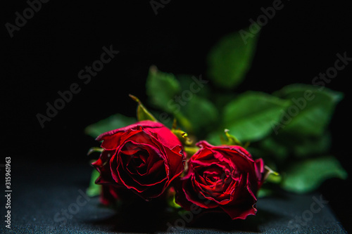 Fototapeta Naklejka Na Ścianę i Meble -  Close up photo of beautiful red roses with a dark background. Valentines Love concept. 