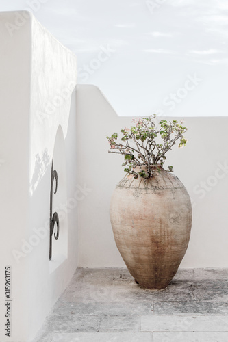 Beautiful vase with flowers shadows on the wall. Creative, minimal, styled concept for bloggers.