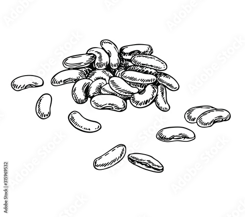 Haricot beans in line art style.