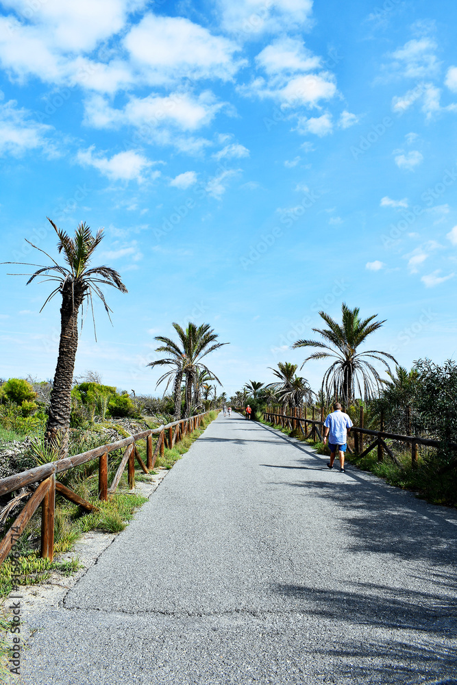 Alfonso XIII Park in Guardamar del Segura, Alicante. Spain. Europe. September 23, 2019 Alfonso XIII Park in Guardamar del Segura, Alicante. Spain. Europe. September 23, 2019