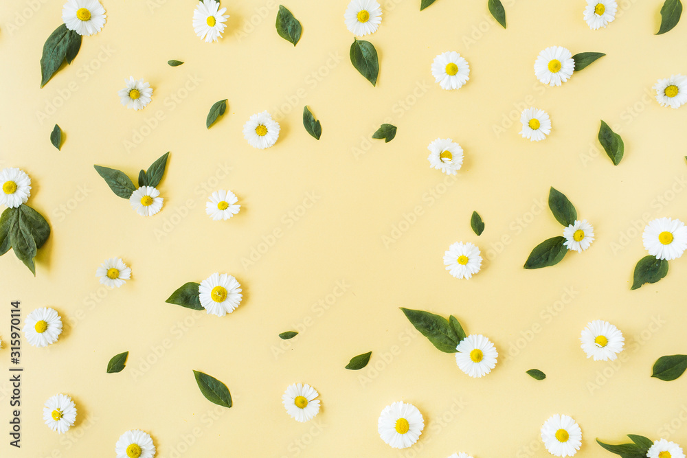 Frame border of white chamomile daisy flowers pattern on yellow background. Flat lay, top view copy space mockup. Frame border of white chamomile daisy flowers pattern on yellow background. Flat lay, top view copy space mockup.