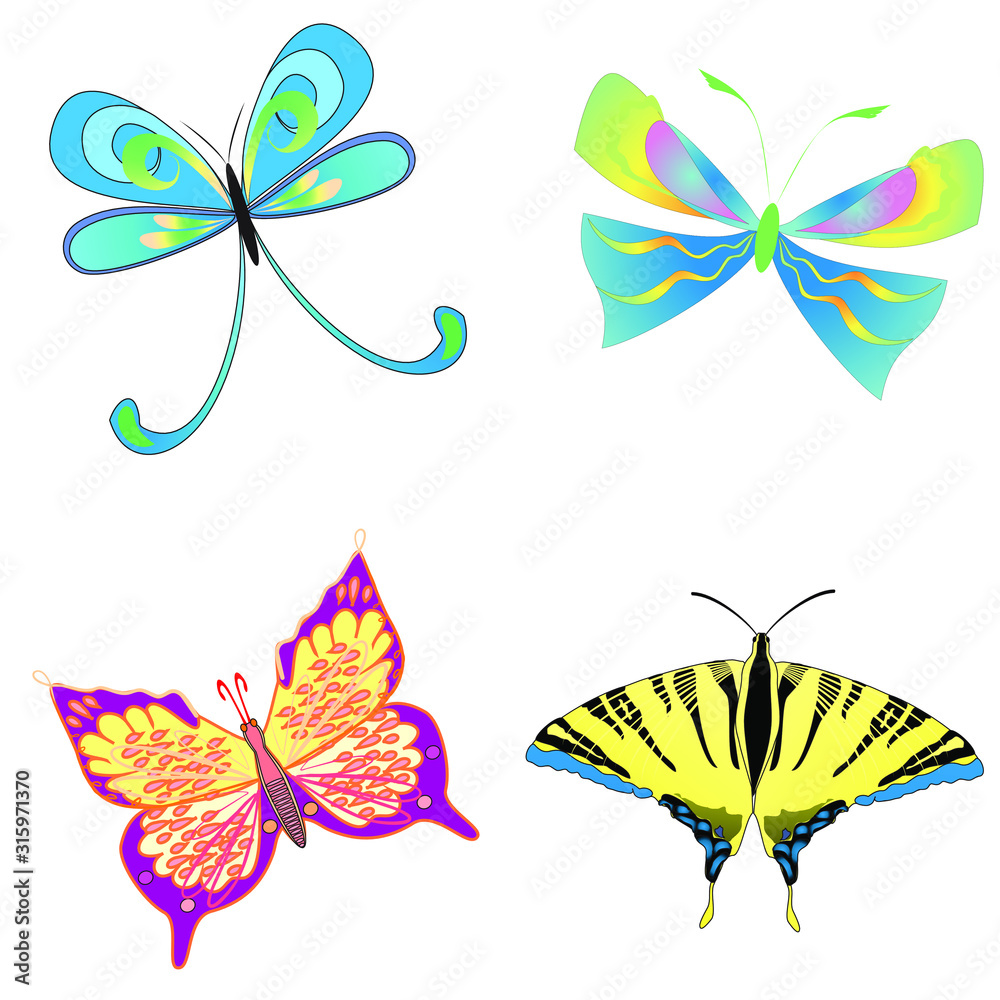 Colorful Butterfly Pack, Set of beautiful butterfly with wings, Abstract Wings Color, Abstract animal color pack, isolation butterfly object illustration. Vector