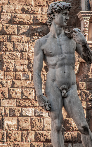 David of Michelangelo, In front of palazzo Vecchio - Florence © Alessandro