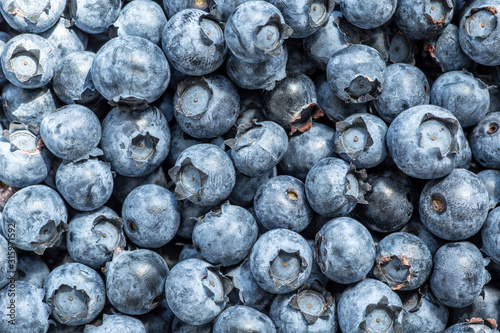 Fresh blueberries background with copy space for your text. Vegan and vegetarian concept. Macro texture of blueberry berries. Summer healthy food.