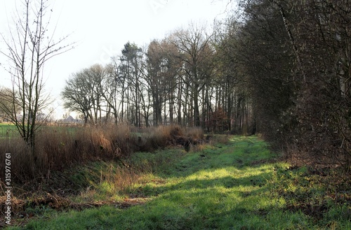 Der Feldweg neben dem Wald