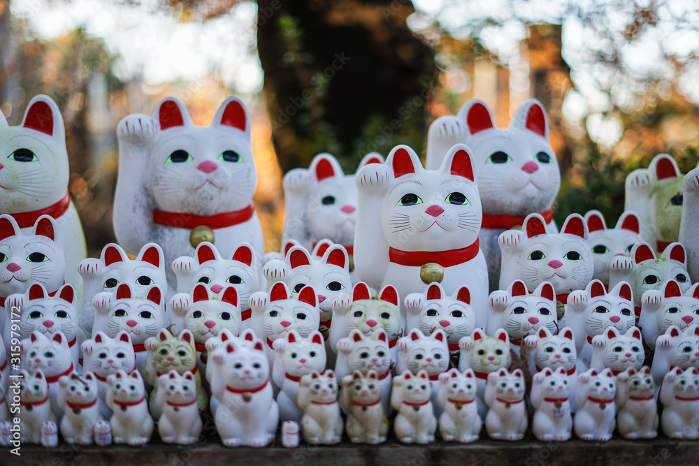 Fototapeta premium 招き猫のイメージ（東京・豪徳寺）