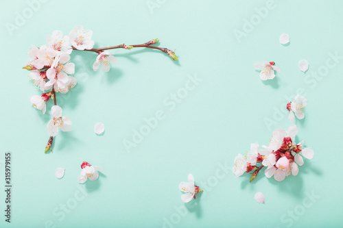 pink cherry flowers on green background