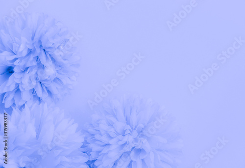 Beautiful abstract color blue and purple flowers on white background and blue flower frame and pink leaves texture, light purple background, colorful banner happy valentine