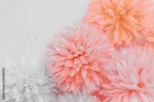 Beautiful abstract color purple and pink flowers on white background and orange flower frame and light pink leaves texture, white background, colorful banner happy valentine