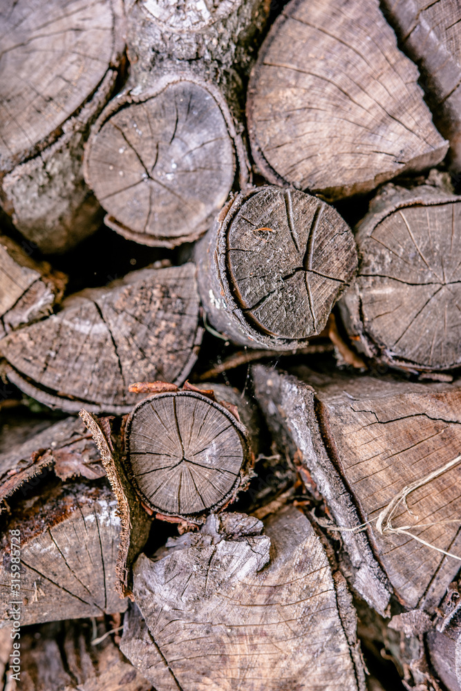 Fire Wood Logs Background. Dry Trunks of Trees. Fire Wood Logs Background. Dry Trunks of Trees.