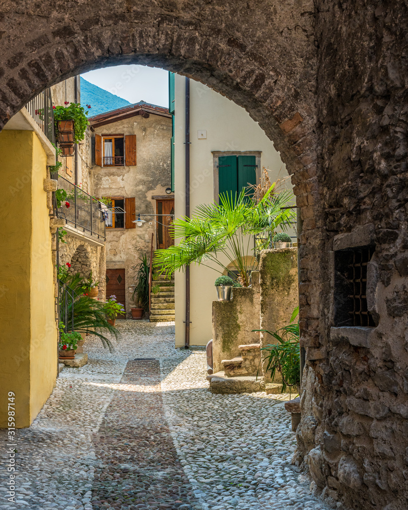 Fototapeta Idyllic view at Cassone di Malcesine, beautiful village on Lake Garda. Veneto, Province of Verona, Italy.