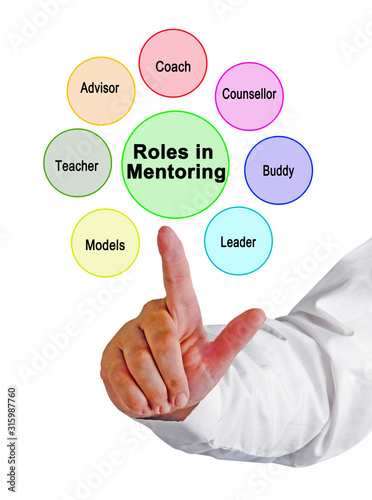 Seven Roles assumed by mentor