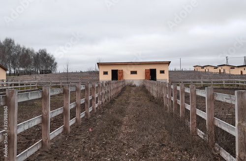 crib and corral fence on a farm in winter photo