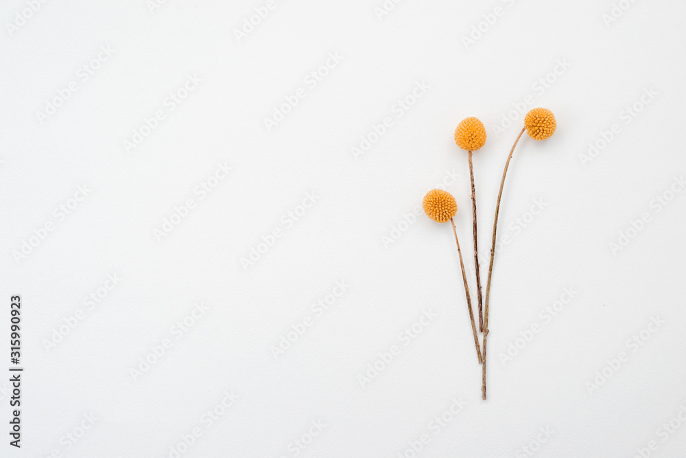 Three orange rustic flowers lie on table. Copy space