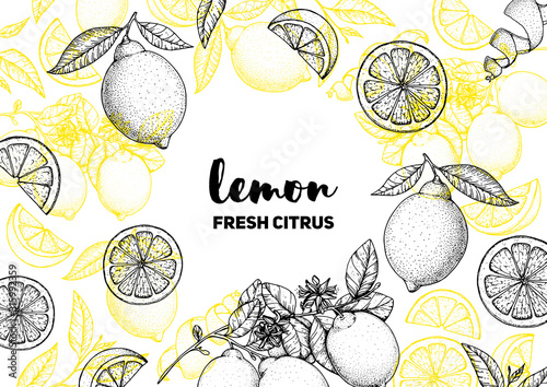 Lemon hand drawn package design. Vector illustration. Lemon sketch for menu design, brochure illustration. Black and white design. Citrus lemon pattern illustration.