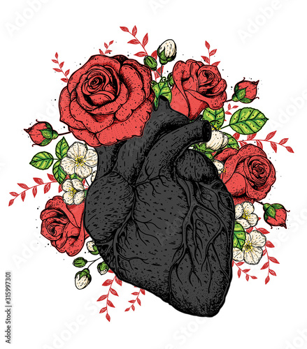 Heart and rose flower hand drawn. Vintage vector illustration. Anatomical heart. Isolated colorful heart illustration.