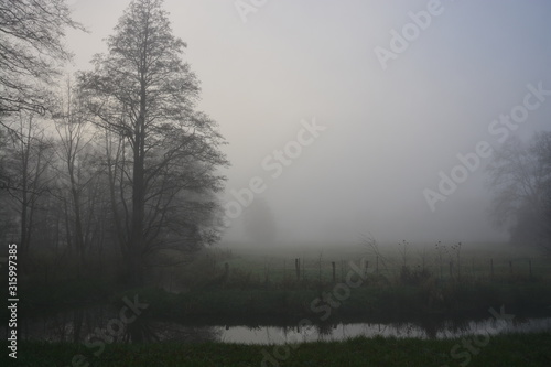 Nebel Feld 