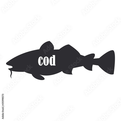 large gray cod fish isolated on white background.