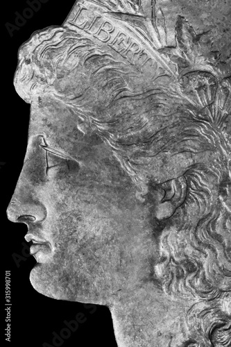 Morgan Dollar Face