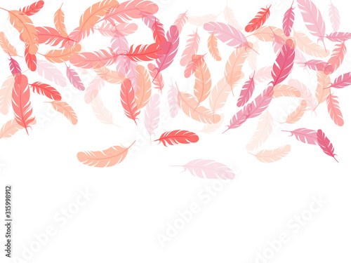 Falling feather elements soft vector design.
