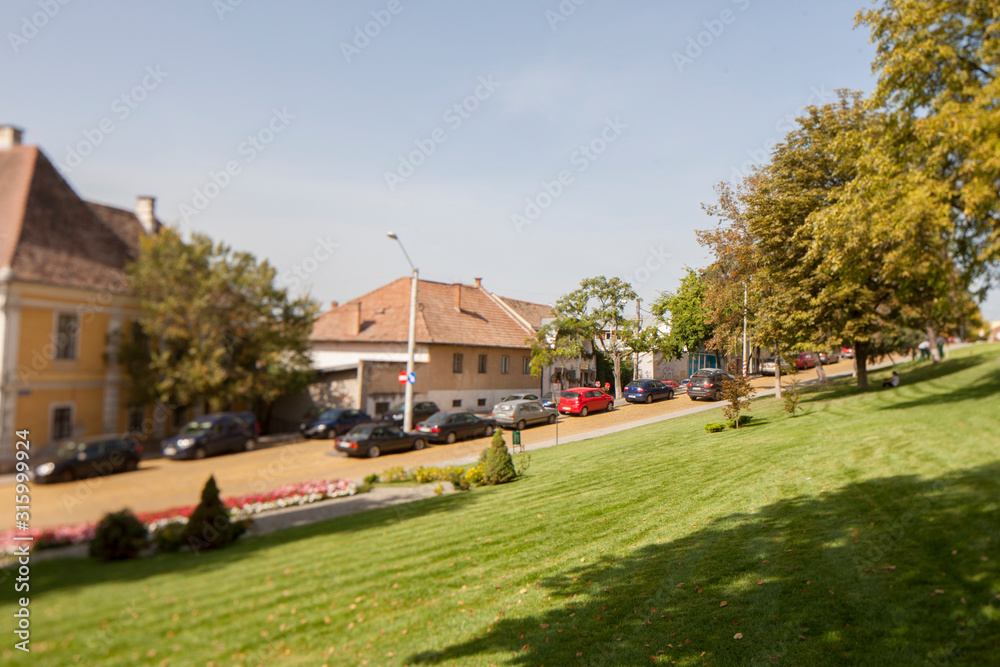 Houses and green grass in the city Houses and green grass in the city