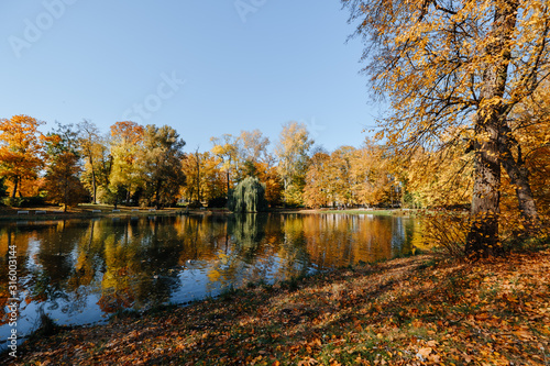 Beautiful autumn park with lake at sunny weather