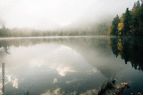 Morning on lake in forest
