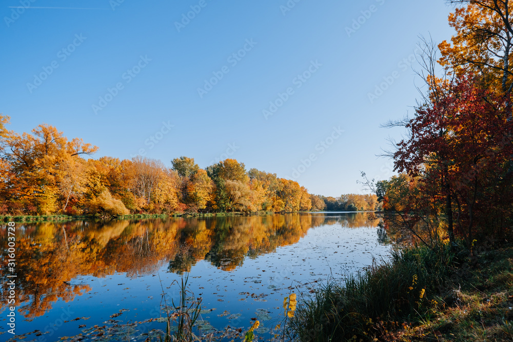 Autumn river bank with orange beech leaves