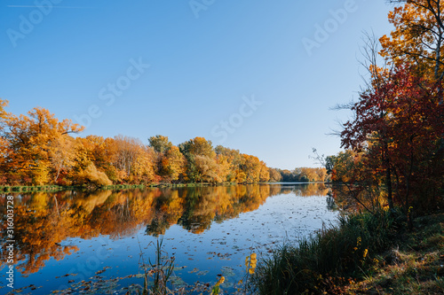 Autumn river bank with orange beech leaves