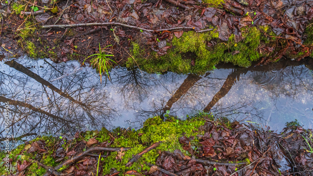 Reflection of the sky in the forest steam Texture of cold water, small stones and green moss in the stream. Abstract background. Reflection of the sky in the forest steam Texture of cold water, small stones and green moss in the stream. Abstract background.