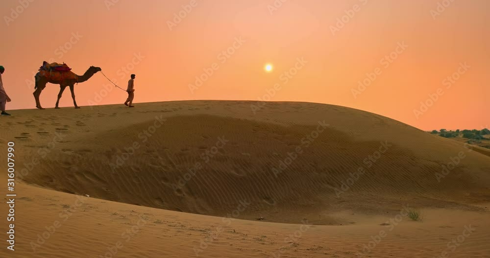 Two Indian cameleers (camel driver) bedouin with camel silhouettes in sand dunes of Thar desert on sunset. Caravan in Rajasthan travel tourism background safari adventure. Jaisalmer, Rajasthan, India Two Indian cameleers (camel driver) bedouin with camel silhouettes in sand dunes of Thar desert on sunset. Caravan in Rajasthan travel tourism background safari adventure. Jaisalmer, Rajasthan, India