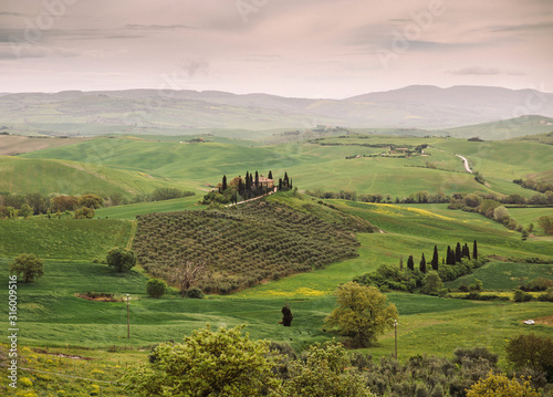 Scenic view of Tuscanian countryside in spring photo